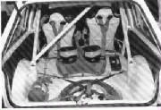 rallypre49.jpg